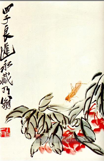 Qi Baishi impatiens et sauterelles traditionnelle chinoise Peintures à l'huile